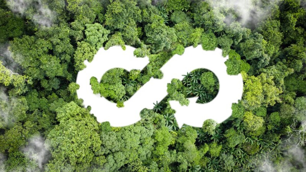 Green Supply Chains: A New Competitive Advantage for Manufacturers